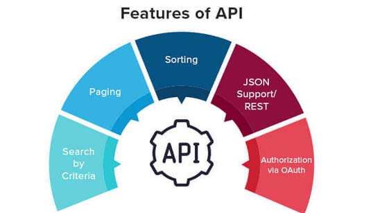 Api Development