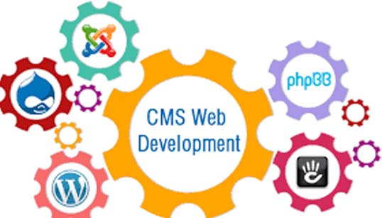 Cms Development