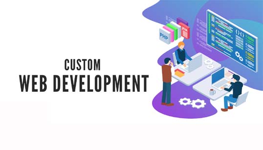 Why Choose Customize Website Development